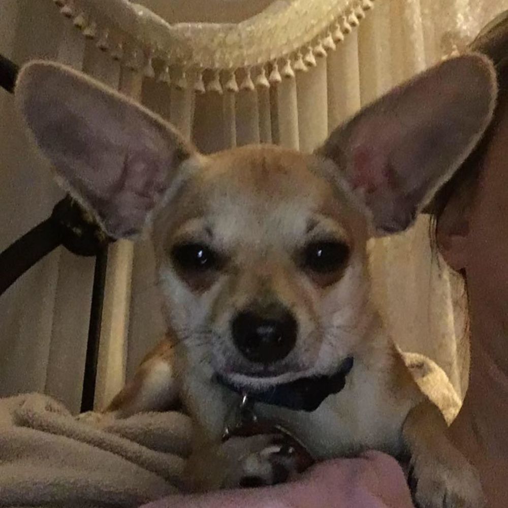 Meet your Posher, Tammy